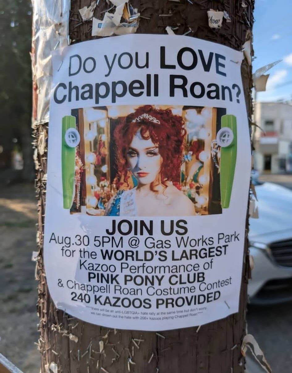 A poster on a utility pole advertising the world's largest kazoo performance of Pink Pony Club