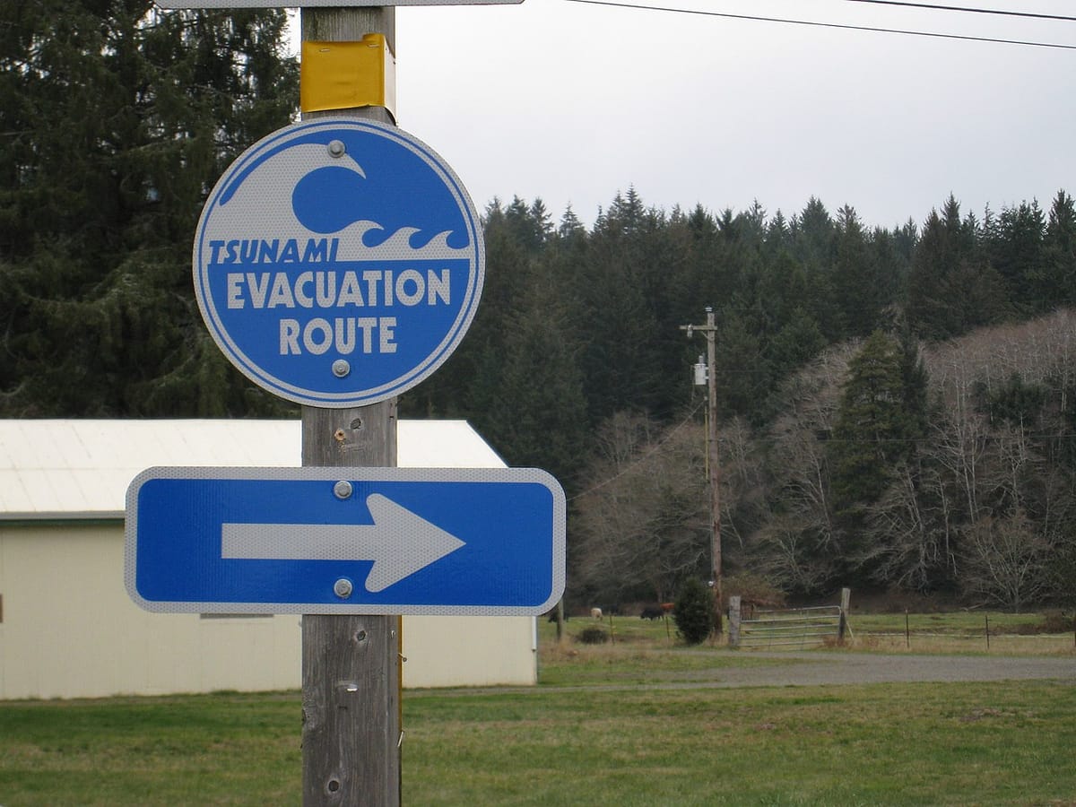 A blue and white tsunami evacuation route sign points to the right in front of a forest of evergreen trees.