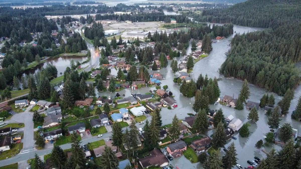 A neighborhood of homes and evergreen trees, seen from the air, is inundated with flood water.