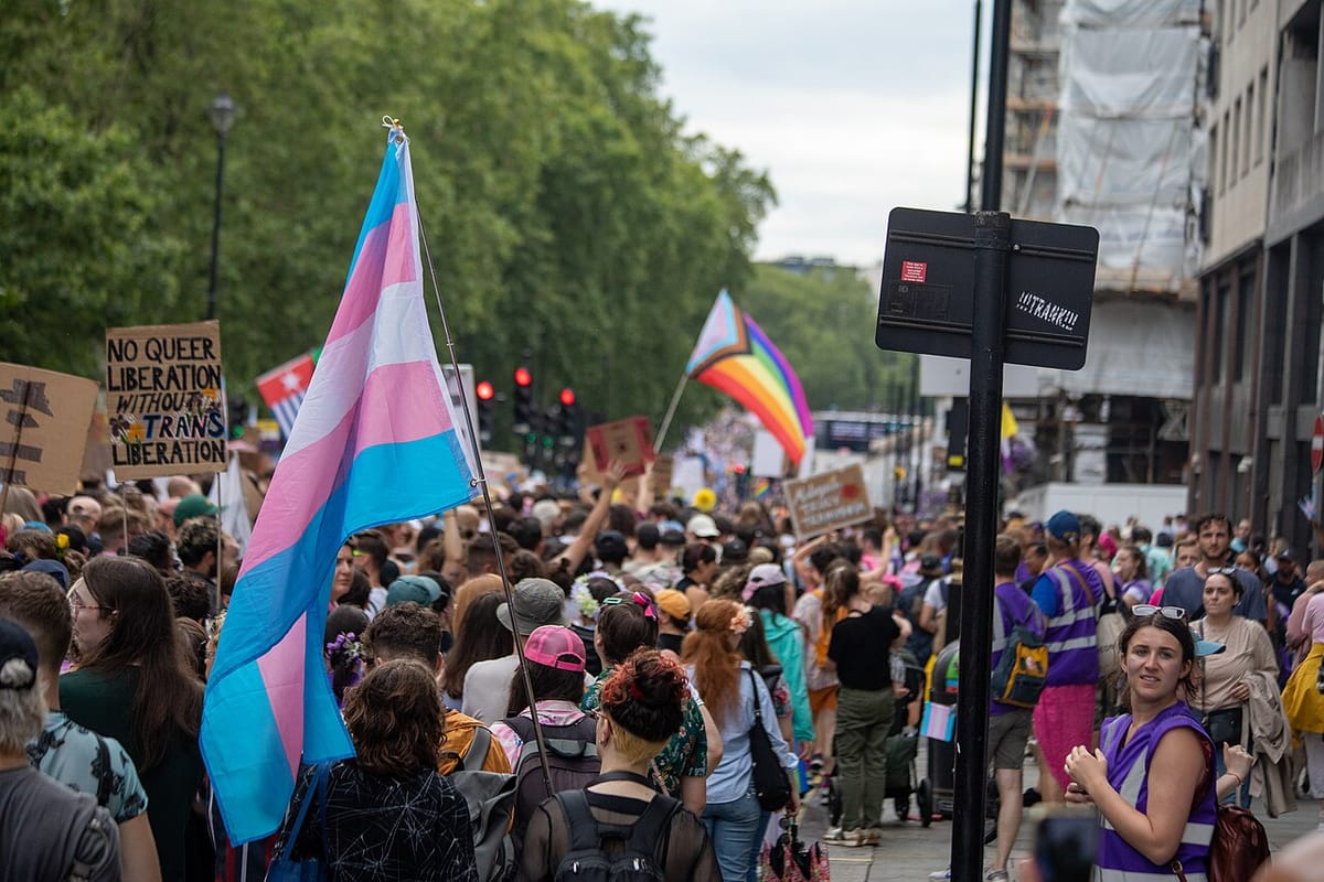A march with people holding a trans flag, pride flag and a sign that reads no queer liberation without trans liberation.