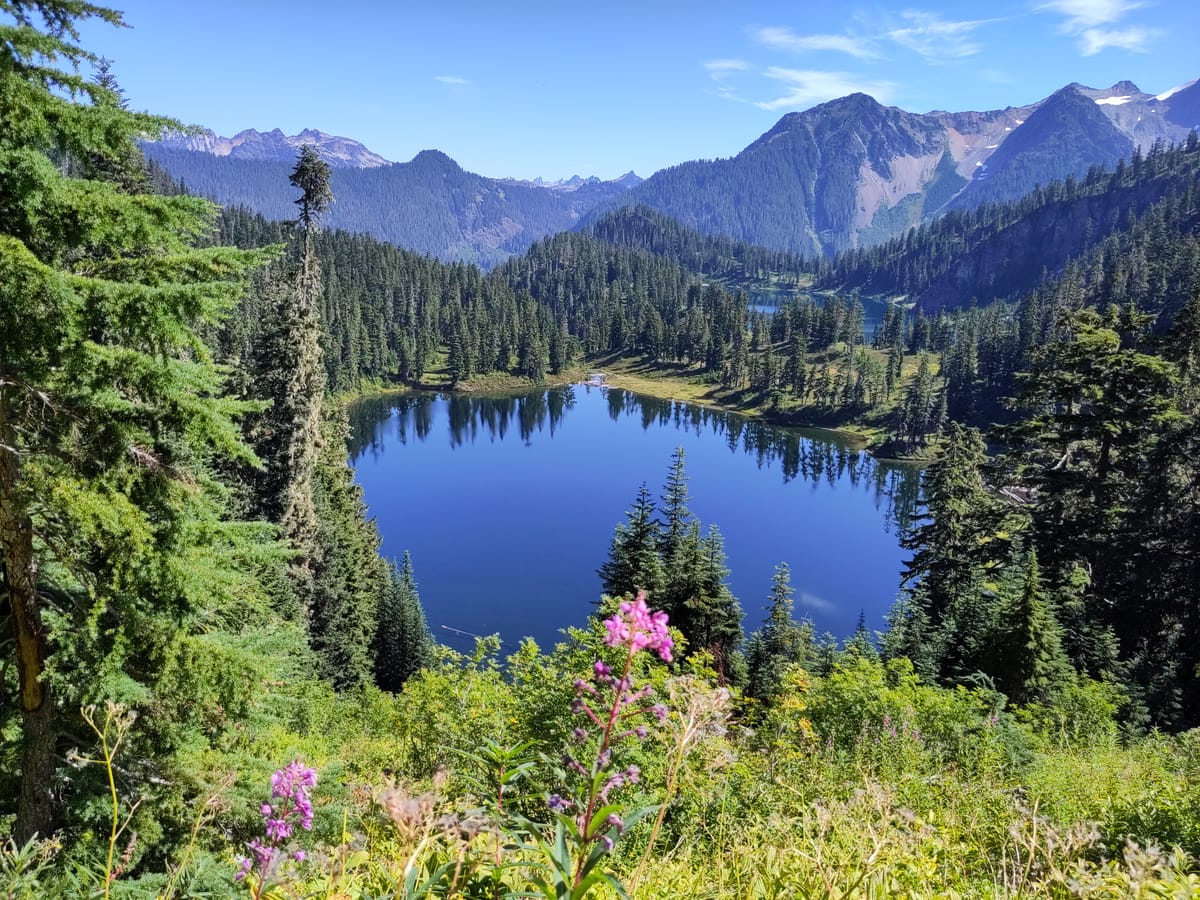 A view forested mountains, a deep blue lake, and pink fireweed in the foreground