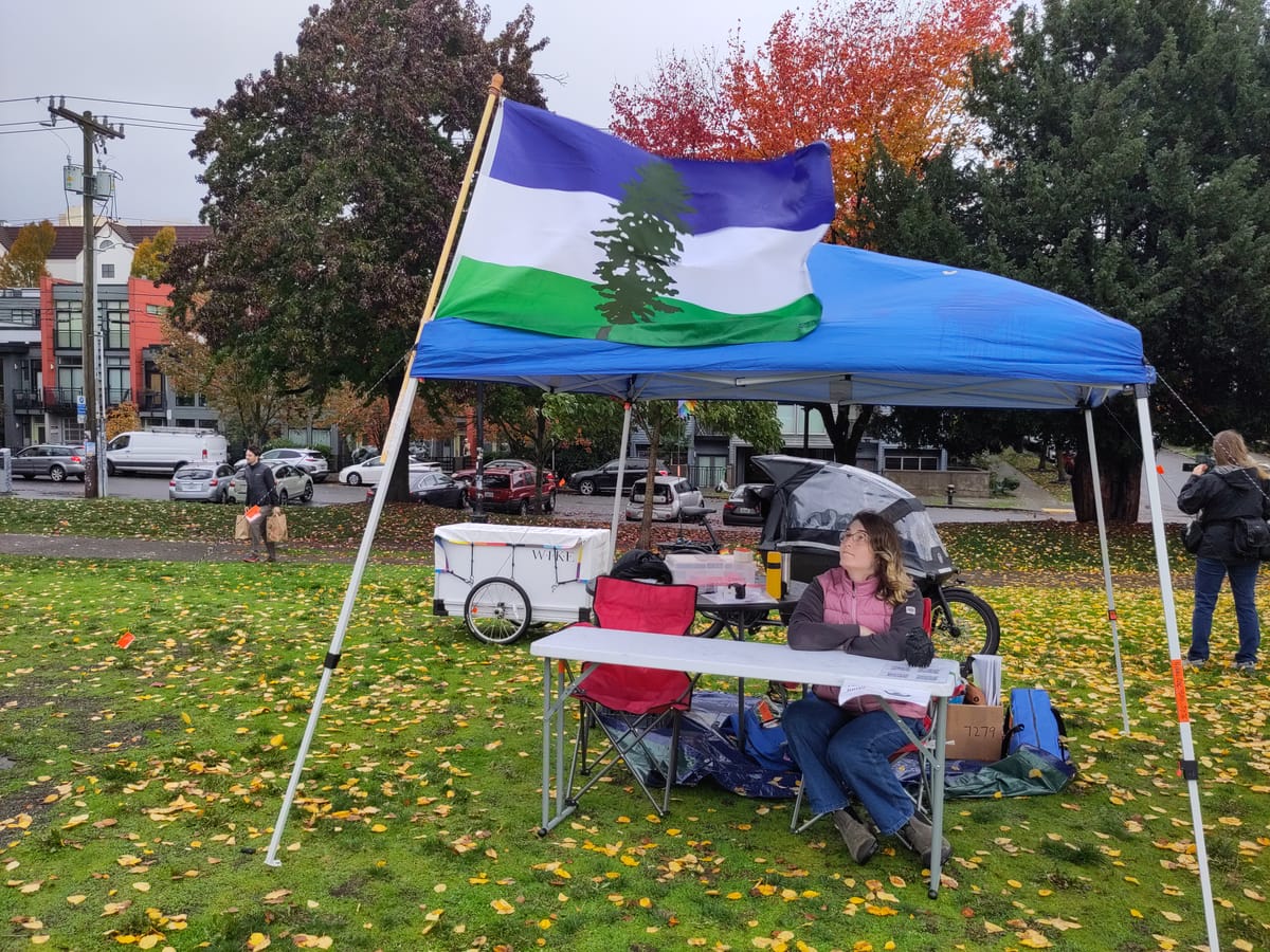 A volunteer in a city park sitting at a table under a rain canopy looks up at a Cascadia flag flying in the wind.