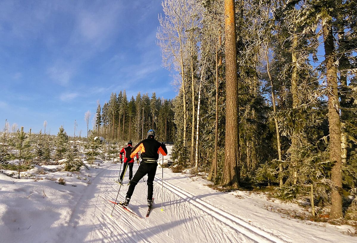 Two people skate ski on a groomed track next to snowy trees.