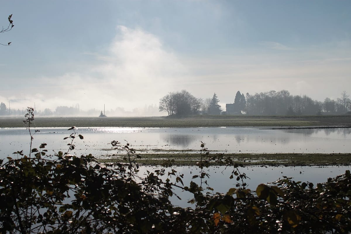 A view of a calm, flooded plain with a farmhouse in the distance.