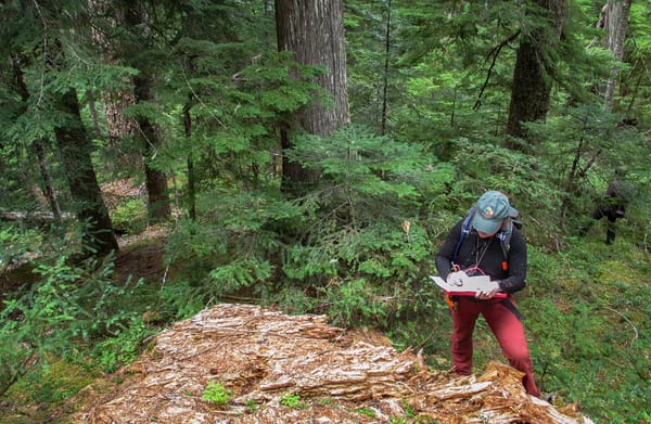 Cascadia will do what the US won't: Tackle climate change