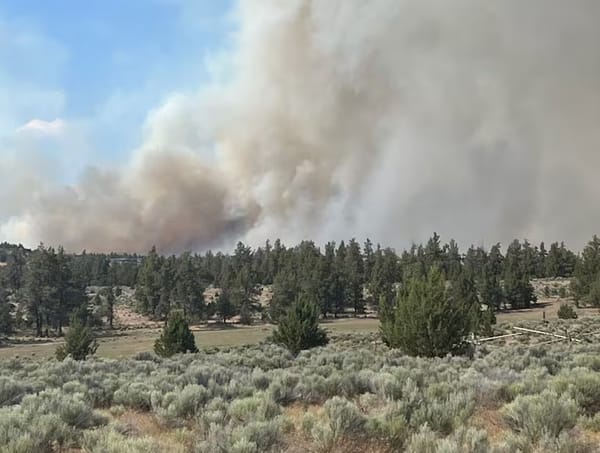 Rolling hills filled with sagebrush and juniper and in the distance, smoke rising from a wildfi