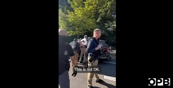 ICE agents arrest a man and the text from the voiceover reads "This is not OK."