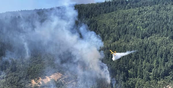 A plane drops water over a smoking wildfire buring in forest of thick trees.