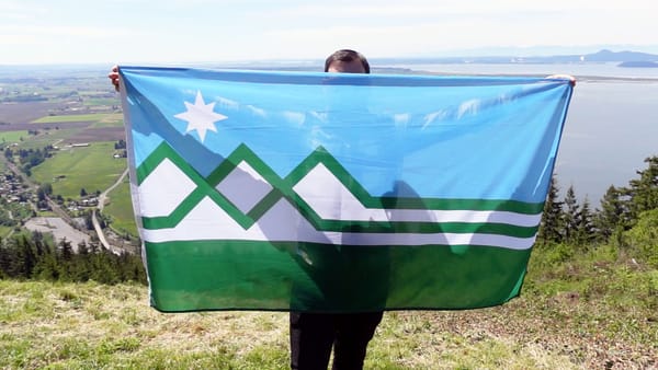 At the top of a hill, a person hold a proposal for a new Washington state flag, with light blue sky and white star-like sun, five triangles representing mountains
