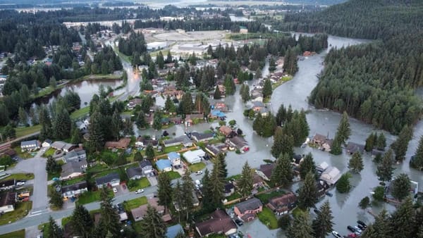 A neighborhood of homes and evergreen trees, seen from the air, is inundated with flood water.