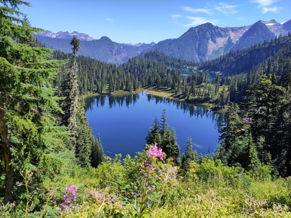 A view forested mountains, a deep blue lake, and pink fireweed in the foreground