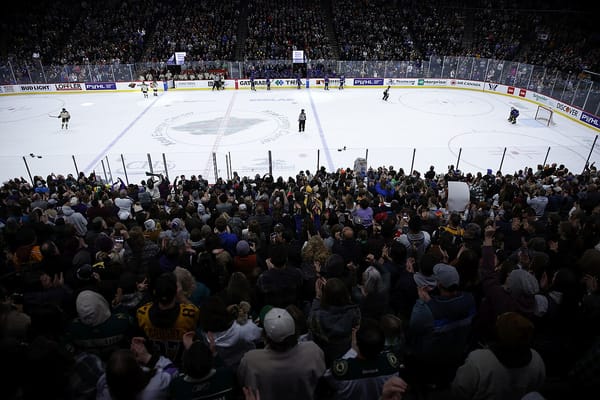 A crowd watches womean playing hockey.