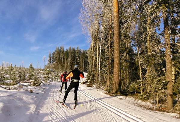 Two people skate ski on a groomed track next to snowy trees.