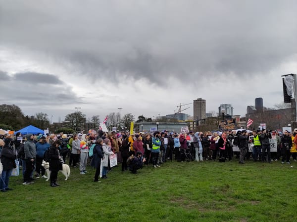 Protesters with signs against ICE stand on a grassy field with clouds in the distance