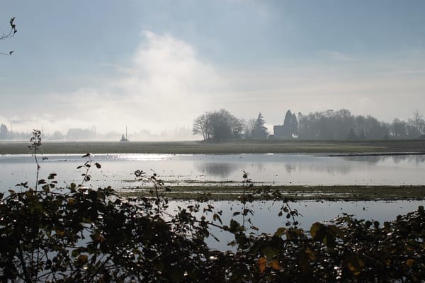 A view of a calm, flooded plain with a farmhouse in the distance.