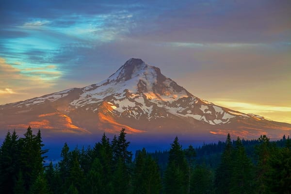 A conical glaciated peak glows at sunset, with dark evergreen trees in the foreground.