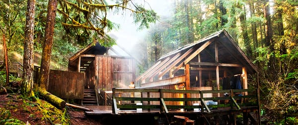Rustic buildings shelter cedar soaking pools in a mossy forest