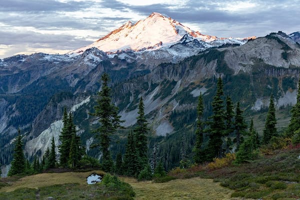A glaciated peak and subalpine firs in a dramatic mountain landscape.